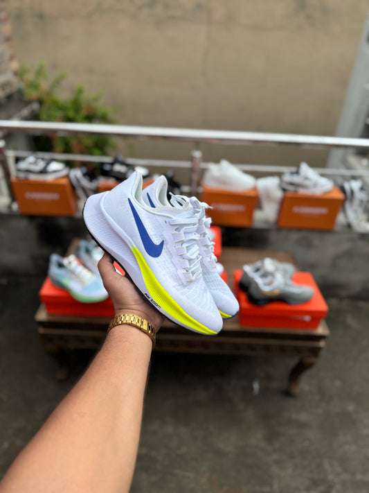 Air Zoom Pegasus 39
